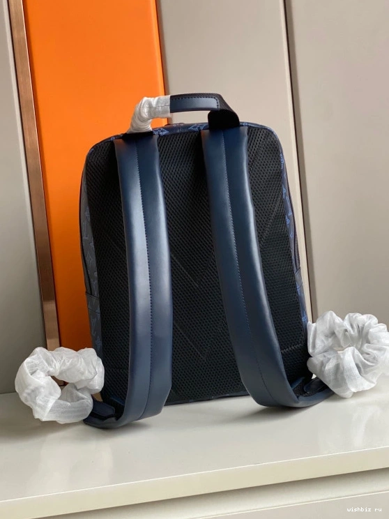 WIS BACKPACK SPRINTER LOUIS VUITTON 0220